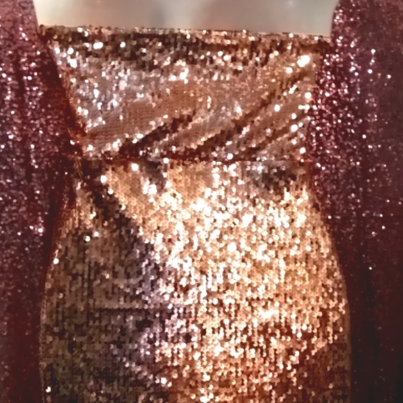 NWOT💕Forever 21 *SZ 1X  Bronze Sequined Dress! Nude Spandex Attached Under Slip - Picture 9 of 9